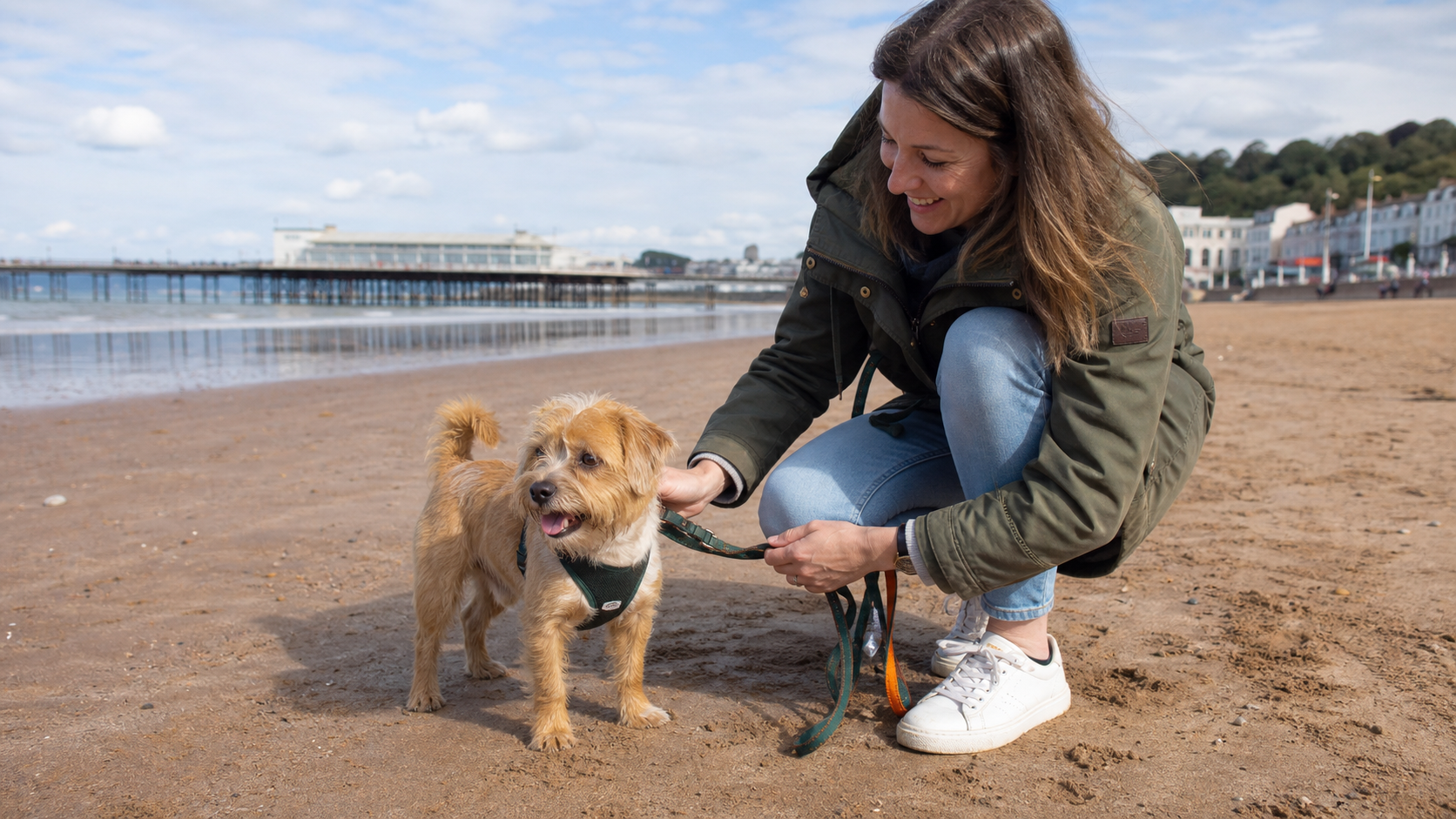 A dog enjoying Paignton