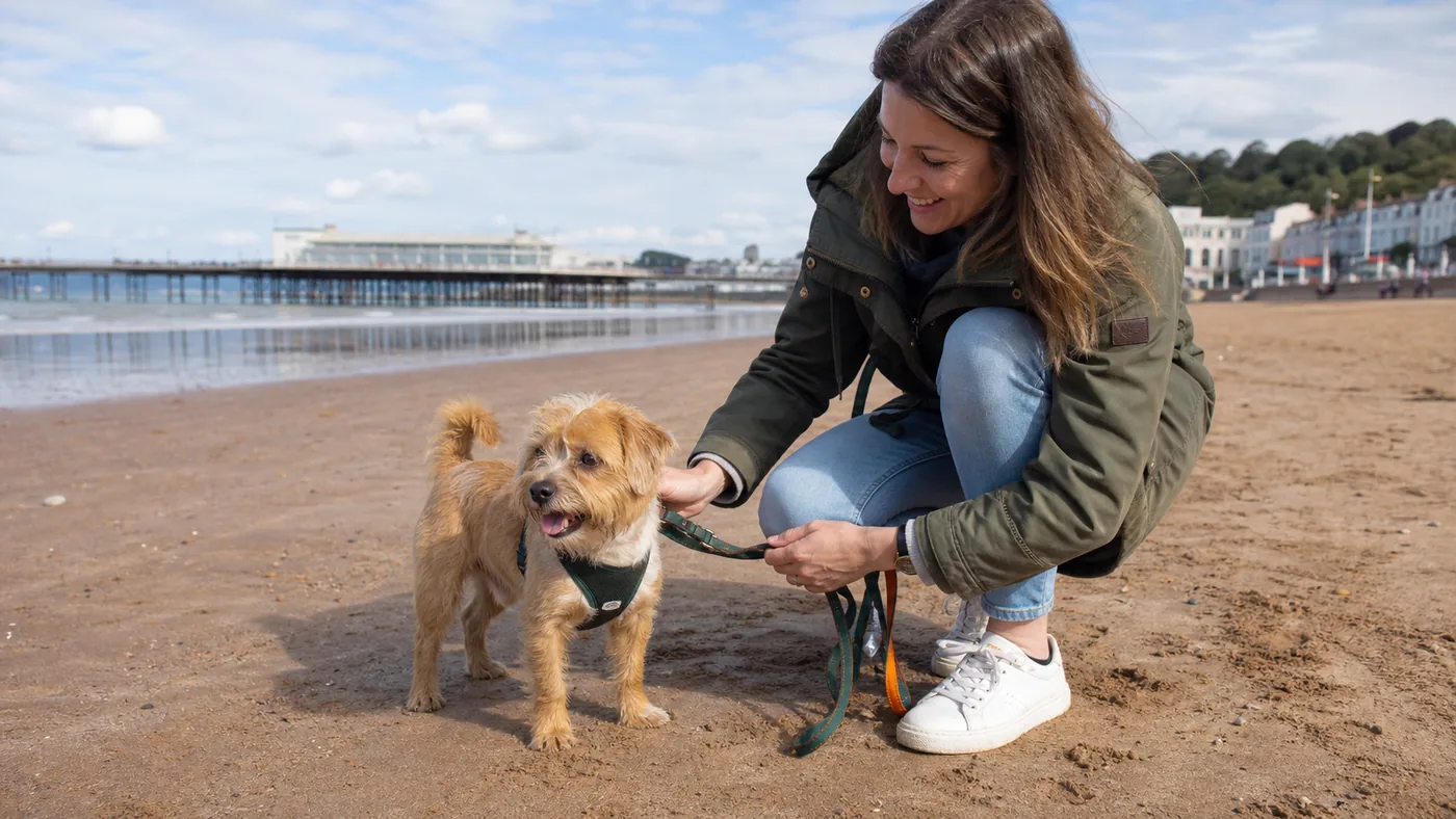 A dog enjoying Paignton